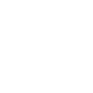 Mic