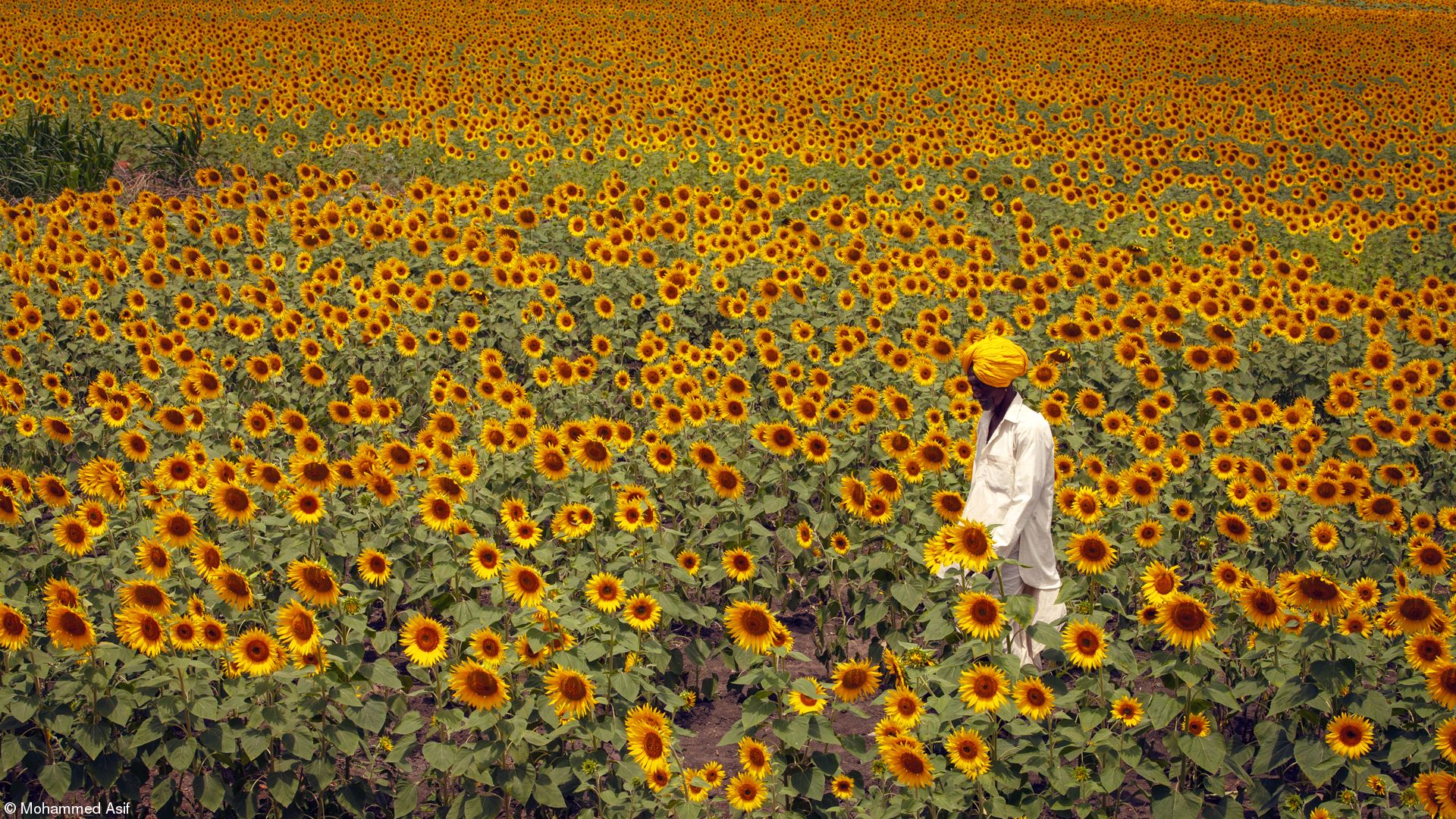 World Photography