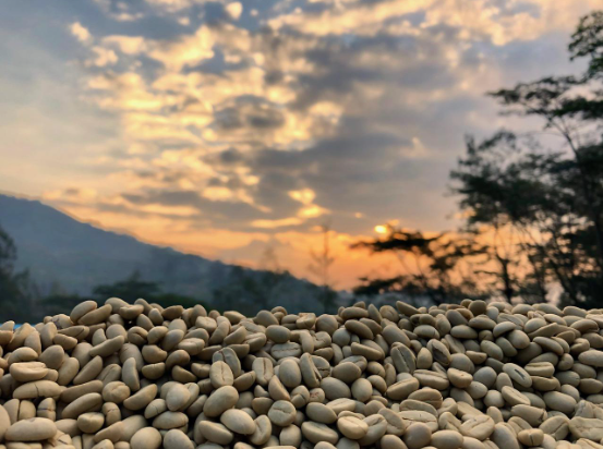 RAVE Coffee supports community and environmental projects through 1% for the Planet