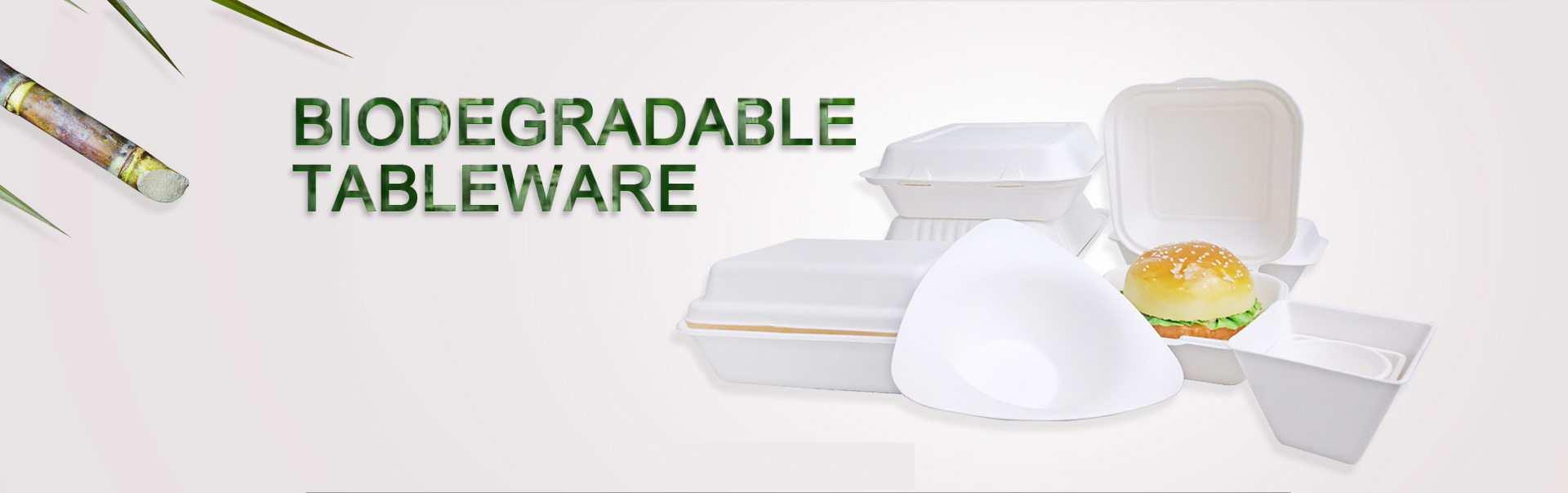 PFAS FREE BIODEGRADABLE TABLEWARE