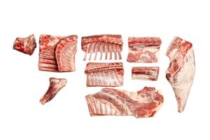 Visit Our Online Catalogue Today!