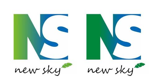 Shandong New Sky Environmental Protection Co.,ltd 