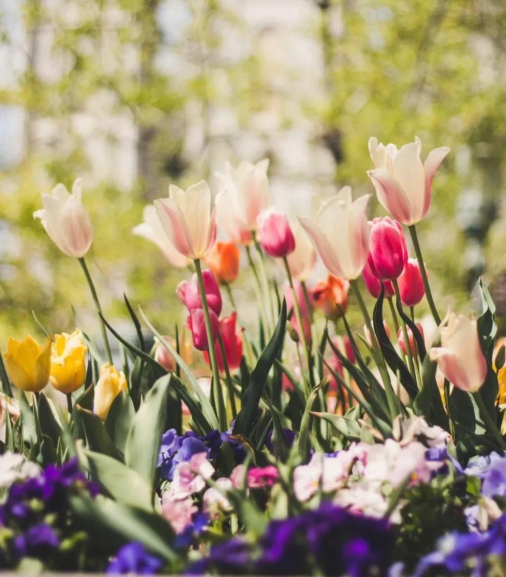 BLOOMS, GREENS & COFFEE SACKS: A visual story about circularity, diversity and collaboration