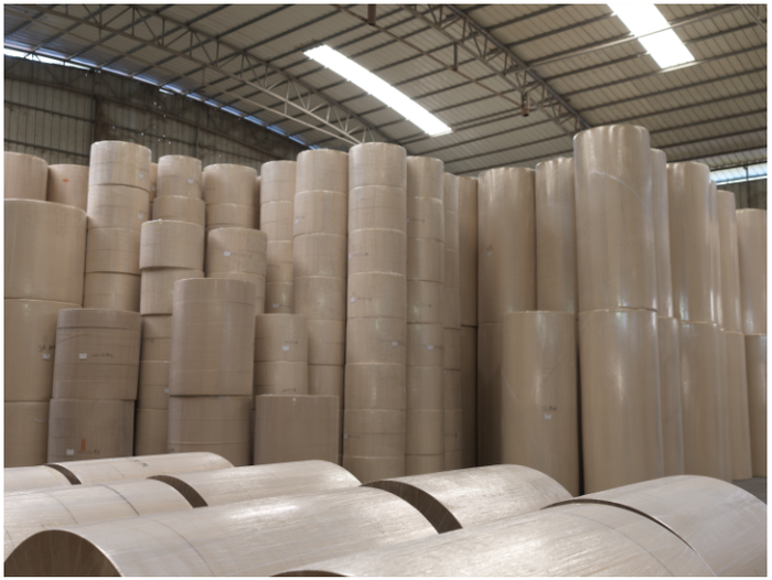 colored tissue jumbo rolls, launched in 2023