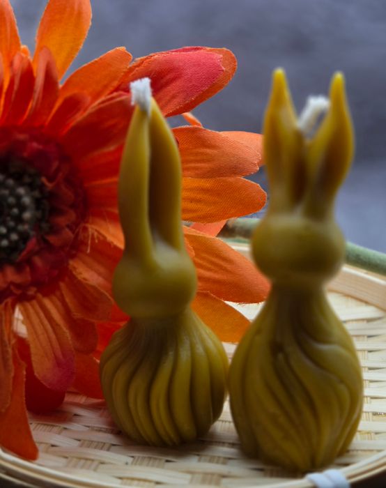 Beeswax Candles