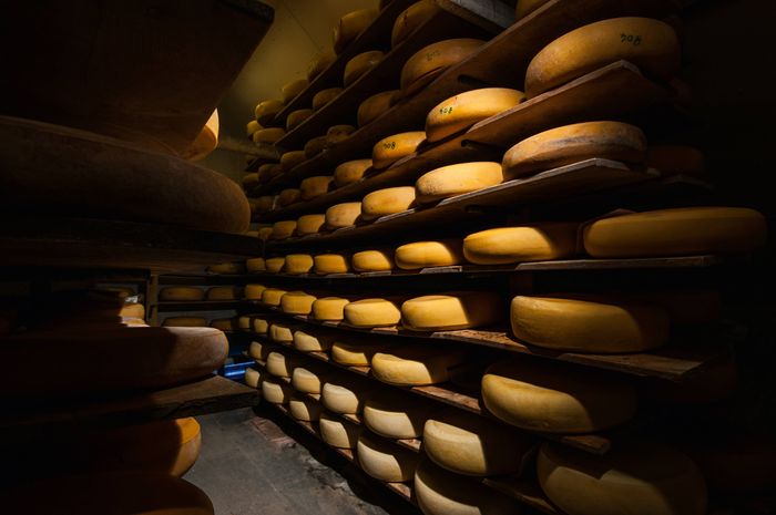 Our Cheeses