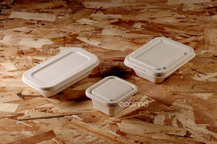 Ecoinno Meal  Box - 430ml  |  900ml  |  1100ml  - 1 div  |  880ml |  1100ml  - 2div 