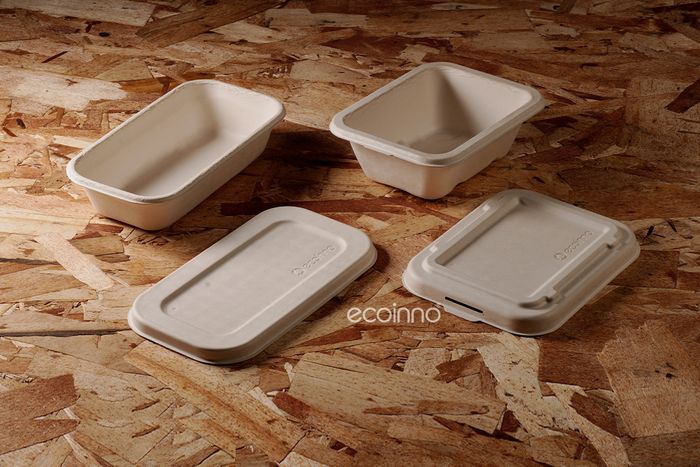 Ecoinno Meal  Box - 430ml  |  900ml  |  1100ml  - 1 div  |  880ml |  1100ml  - 2div 
