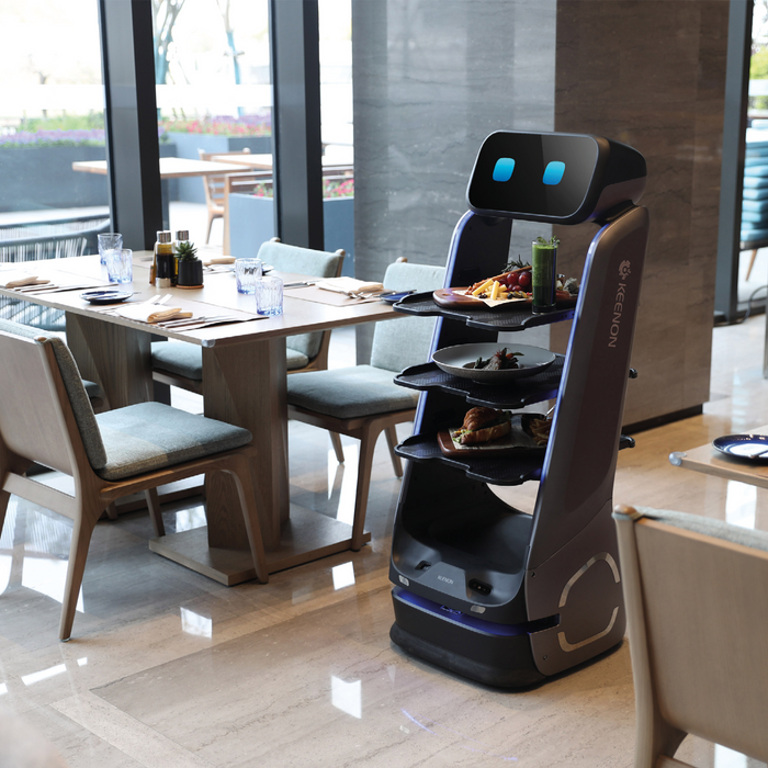 DINERBOT T9 Pro