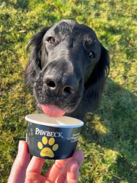 Pawbeck (Iced Dog Treat)