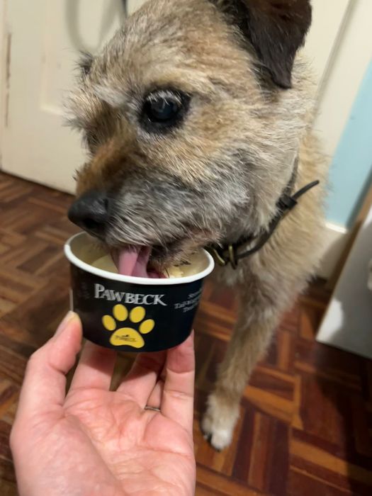 Pawbeck (Iced Dog Treat)