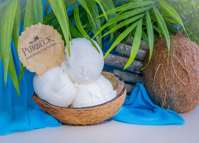Purbeck Ice Cream - Sorbet / Vegan Ice Cream
