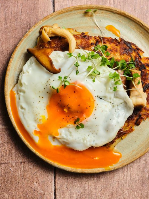 Rich Yolk Eggs