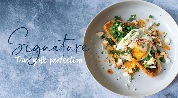 Signature Medium Eggs