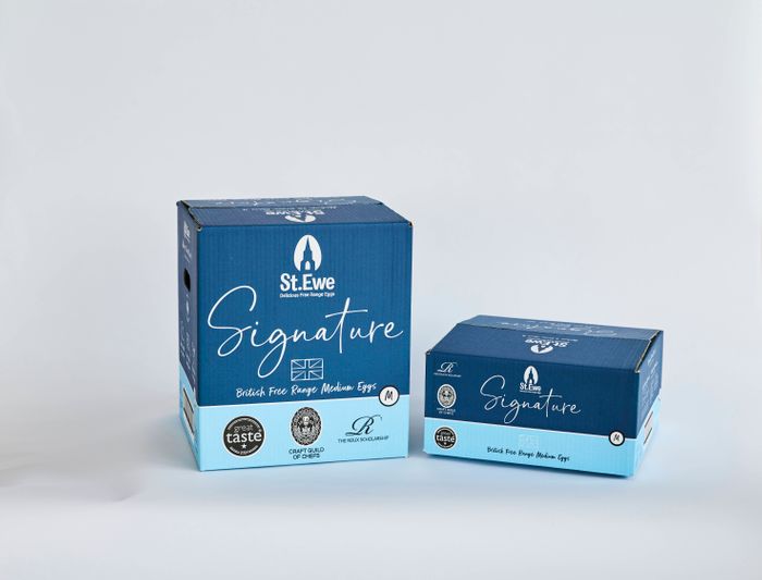 Signature Medium Eggs