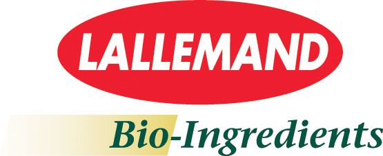 Engevita® HiPRO Beyond - Lallemand Bio-Ingredients