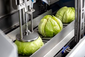 Sormac sees dynamism in UK and Ireland fresh-cut industry
