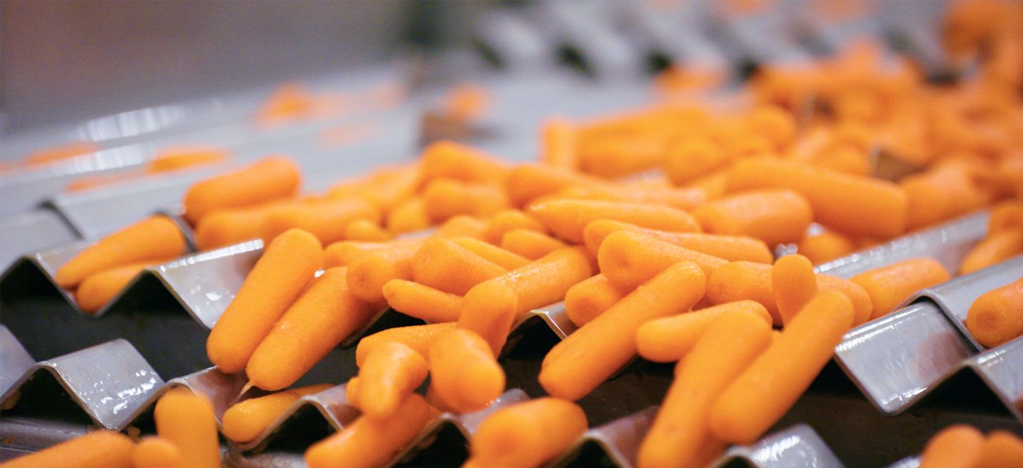 Carrot processing at the highest level: TopFresh and Sormac