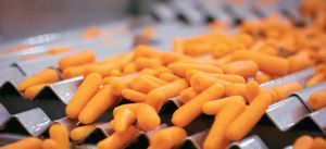 Carrot processing at the highest level: TopFresh and Sormac