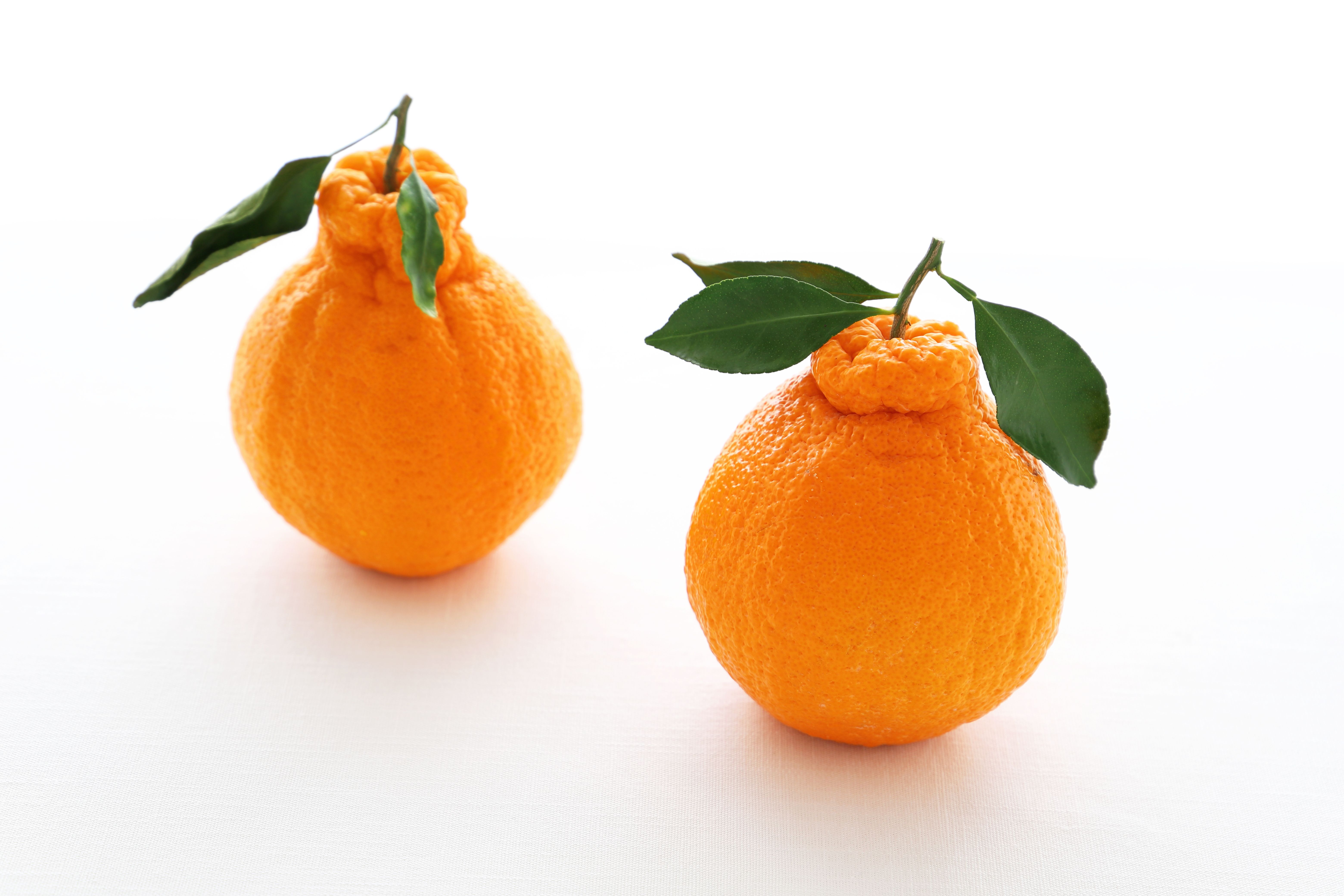 Dekopon Citrus NFC