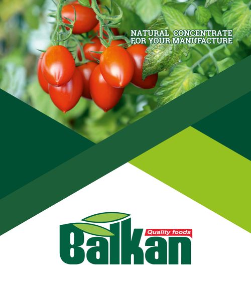 Balkan Brochure