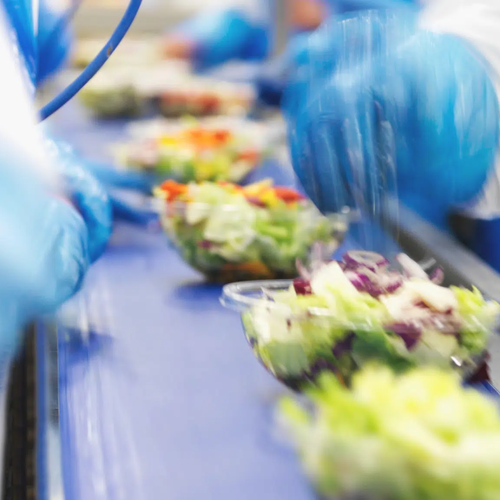 Decreasing Absenteeism with Indeavor Call at Flora