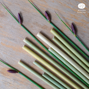 Wonder Greener | Product Introduction