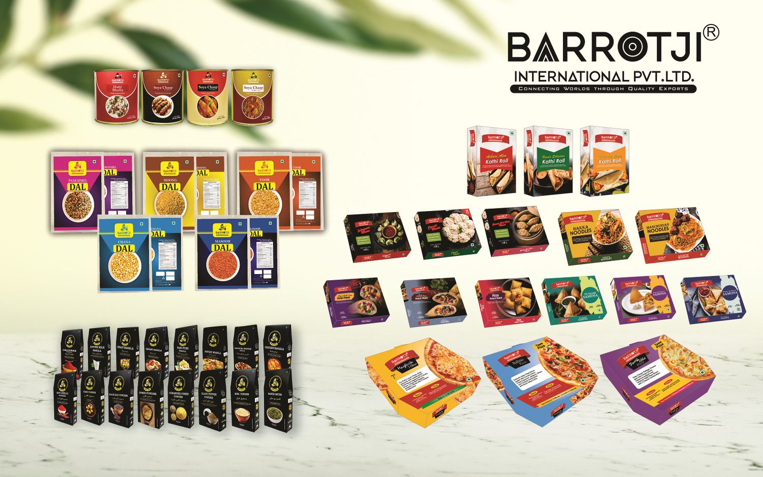 BARROTJI INTERNATIONAL PVT LTD