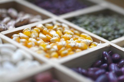 IFE Manufacturing to launch new ingredients awards in association with IFST