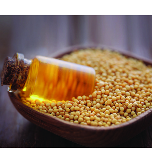 NATURAL MUSTARD FLAVOUR