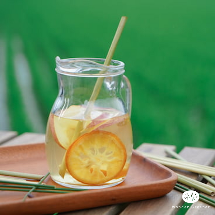 Wonder Greener | Grass Straws Individually Packaged