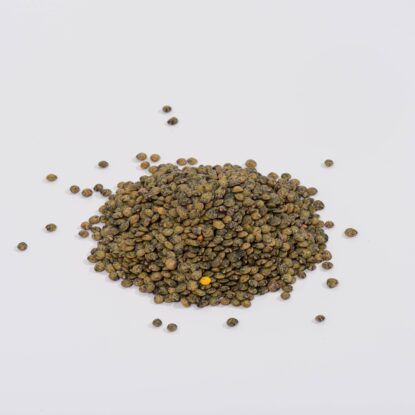 Dark Green Speckled Lentils