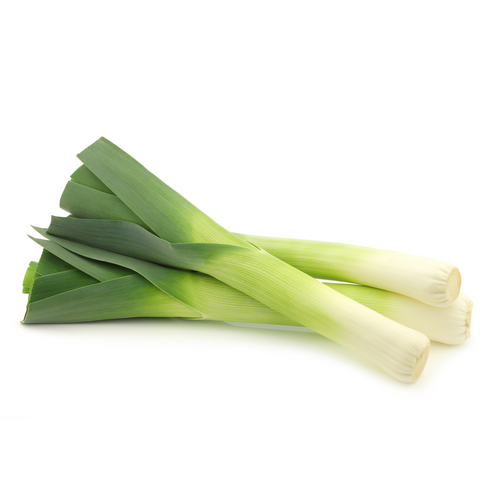 Leek