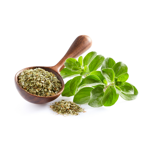 Marjoram