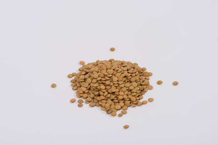 Green Lentils