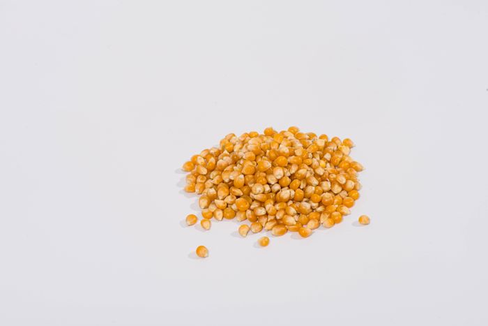 Popcorn