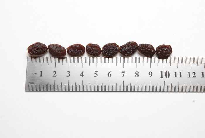Thompson Raisins