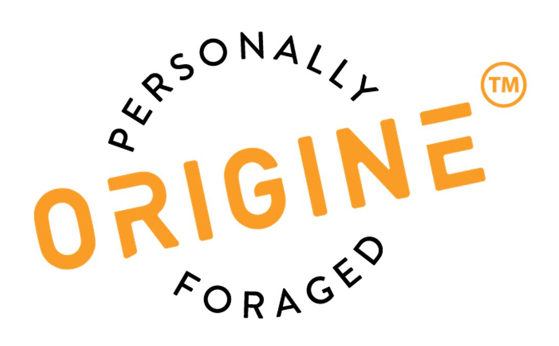 ORIGINE .S.R.L