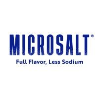 MicroSalt - MicroSalt plc