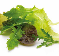 How Sormac helps processors protect leafy greens quality