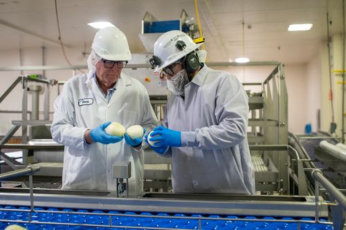 Peeling back layers of efficiency and sustainability