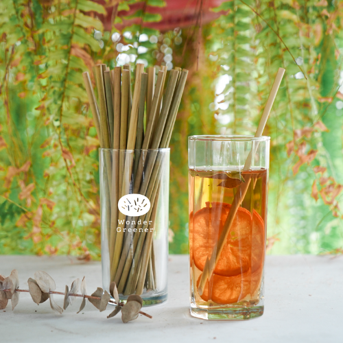 Wonder Greener | Grass Straws