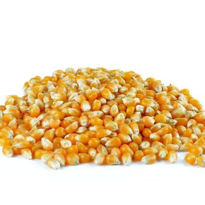 Popcorn 