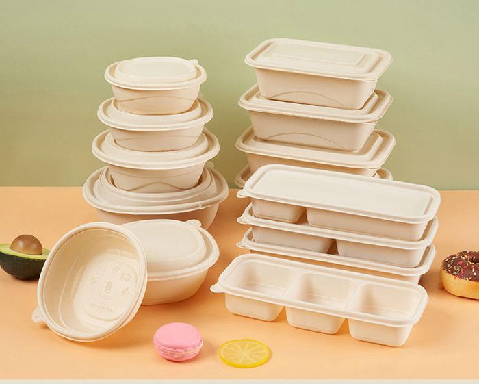 Dinera Bio Cornstarch Packaging Range (100% Biodegradable Food Containers)