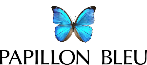 PAPILLON BLEU
