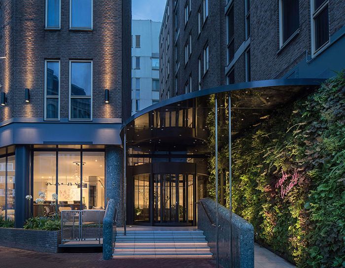 A sustainable look for Kimpton de Witt Hotel
