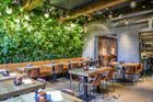 SemperGreenwall Indoor