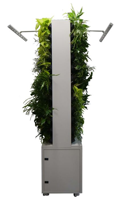 Maxgreenwall