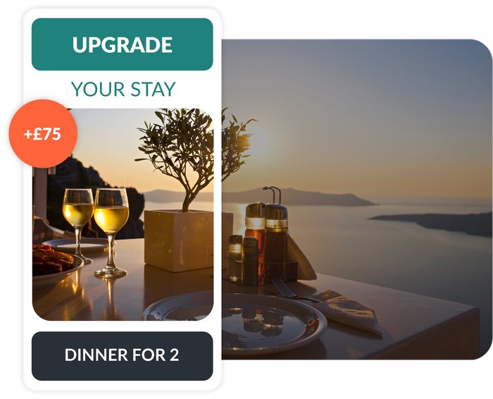 RaccoonUpselling For Hotels