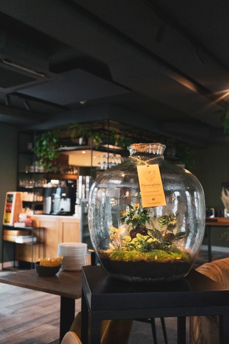 Terrariums